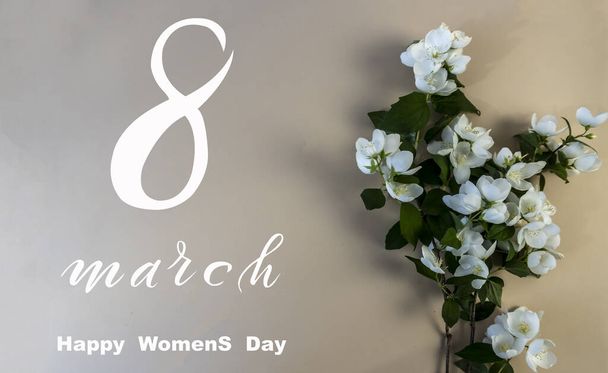 International Women's Day March 8! Flat Lay, banner, greeting card with flowers from March 8, Beautiful White Jasmine Flowers - Foto, Bild