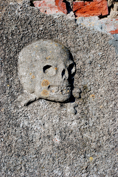 череп и перекрещенные кости
 - Фото, изображение