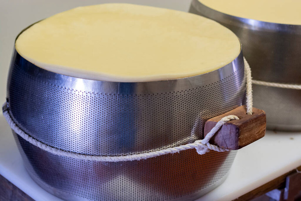 Verfahren zur Herstellung von Parmigiano-Reggiano-Parmesan-Hartkäse auf einem kleinen Käsebauernhof in Parma, Italien, Edelstahlschnallen mit Käserädern in der Salzerei - Foto, Bild