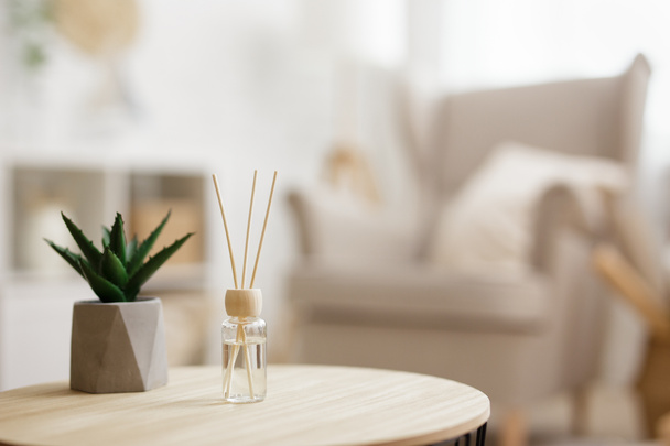 close up of reed diffuser and house plant aloe vera on wooden table in bright living room with scandinavian interior - Фото, изображение