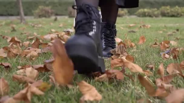 秋の葉を歩く女性。ブーツの人は乾燥した黄色の葉で草の上を歩く。秋の時間. - 映像、動画
