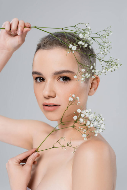 young woman with natural makeup holding branches of gypsophila while looking at camera isolated on grey - Photo, Image