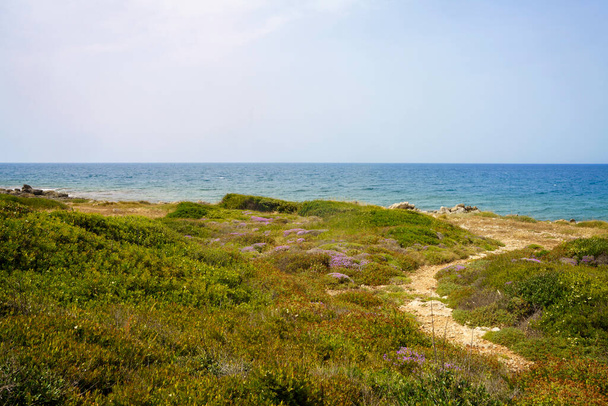 Salento kıyıları, Lecce ili, Apulia, İtalya, yazın Leuca 'dan Gelibolu' ya - Fotoğraf, Görsel
