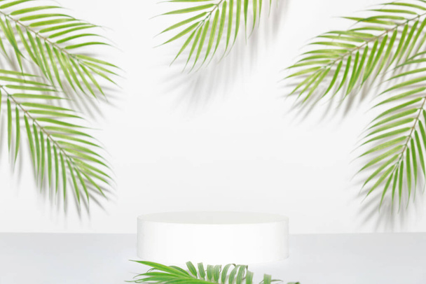 Abstract empty white podium and palm leaves on grey background. Mock up stand for product presentation. 3D Render. Minimal concept. - Foto, Imagen