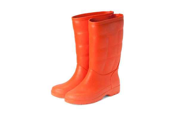 rubber boots - Photo, Image