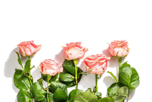На білому тлі видніється безліч свіжих делікатних троянд. Романтичні подарунки, рожеві квіти. Мати, Валентина або День жінки. Макуп, шаблон, вітальня, плоска плата, вид зверху. - Фото, зображення