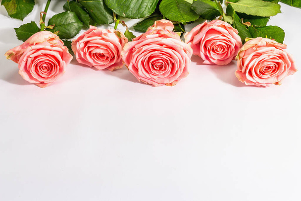 На білому тлі видніється безліч свіжих делікатних троянд. Романтичні подарунки, рожеві квіти. Мати, Валентина або День жінки. Макуп, шаблон, вітальня, квартира - Фото, зображення