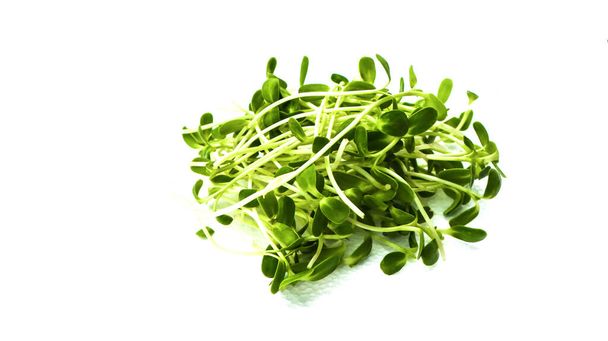 Geïsoleerde groene zonnebloem spruit op witte achtergrond concept voor biologische gezonde voeding  - Foto, afbeelding