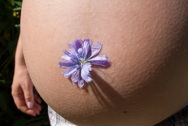 брюхо беременной женщины с цветком в пупке. Высокое качество фото - Фото, изображение
