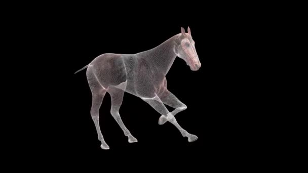Wireframe horse, renderowanie 3d, ilustracja - Materiał filmowy, wideo