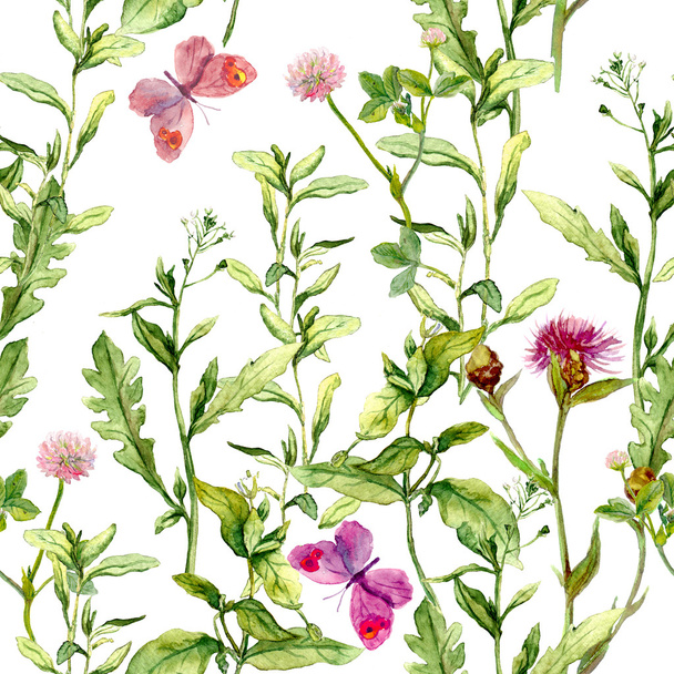 Meadow with herbs, flowers and butterflies. Seamless vintage watercolor pattern - Foto, Imagen