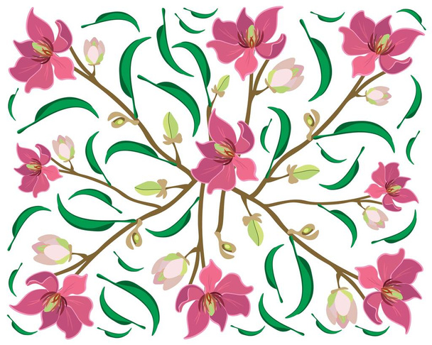 美しい花、イラストワインマグノリアの花や枝先に緑の葉を持つマグノリアフィゴの花の背景 - ベクター画像