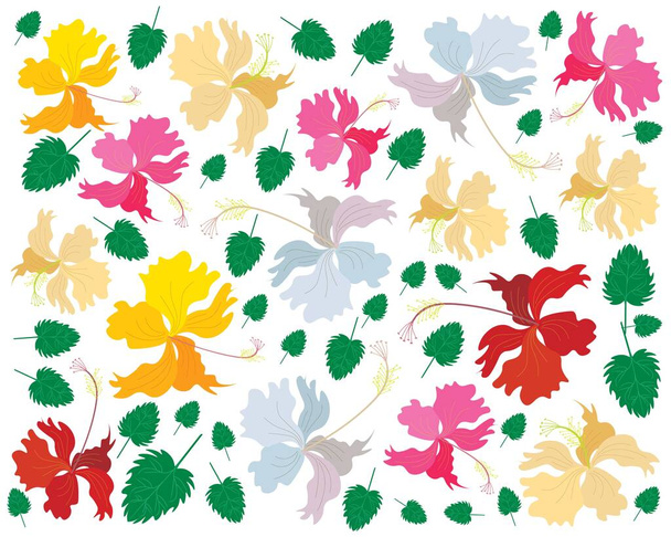 Hermosa flor, fondo de ilustración de flores de hibisco de colores frescos, malva rosa o Bunga Raya aislado sobre un fondo blanco - Vector, Imagen