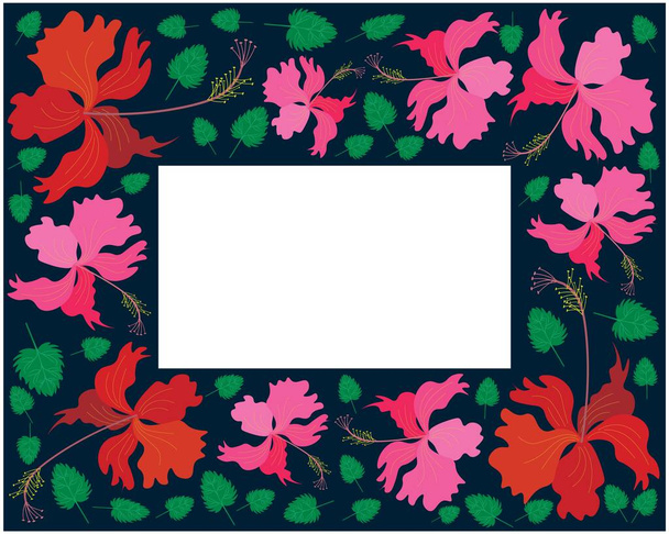 Beautiful Flower, Illustration Frame of Fresh Colorful Hibiscus Flowers, Rose Mallow or Bunga Raya Isolated on A White Background - Vektor, Bild
