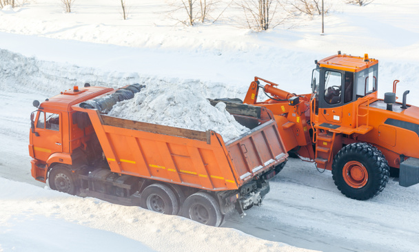 Iso oranssi traktori puhdistaa lumen tieltä ja lataa sen kuorma-autoon. Kaupungin teiden puhdistaminen ja puhdistaminen lumesta talvella - Valokuva, kuva