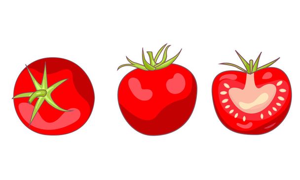 Zestaw różnych narysowanych połówek pomidorów  - Wektor, obraz