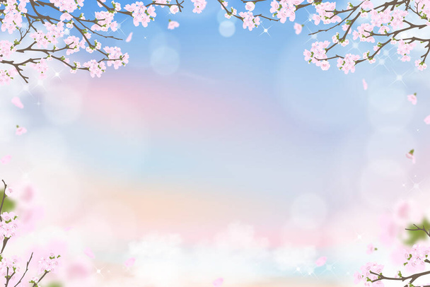Fiore di ciliegio primaverile su sfondo blu e rosa cielo pastello, Illustrazione vettoriale Fiore di sakura rosa che fiorisce in primavera con petali cadenti, Banner di sfondo dolce per la vendita primaverile o estiva - Vettoriali, immagini