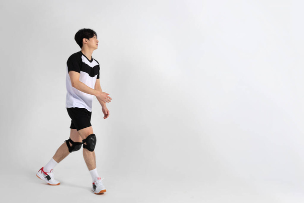 volleyball sports player, asian korean man preparing serve, serving the ball - 写真・画像
