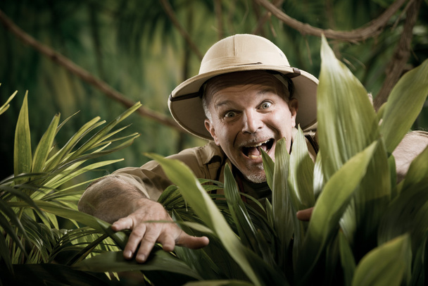Adventurer peeking through plants - Foto, Imagen