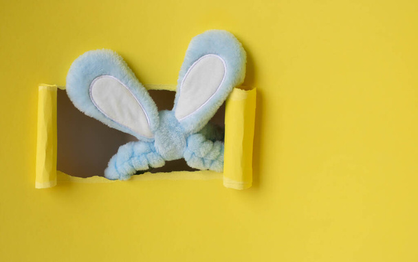 Yellow background with a hole with blue rabbit ears sticking out of it. Easter Concept. - 写真・画像