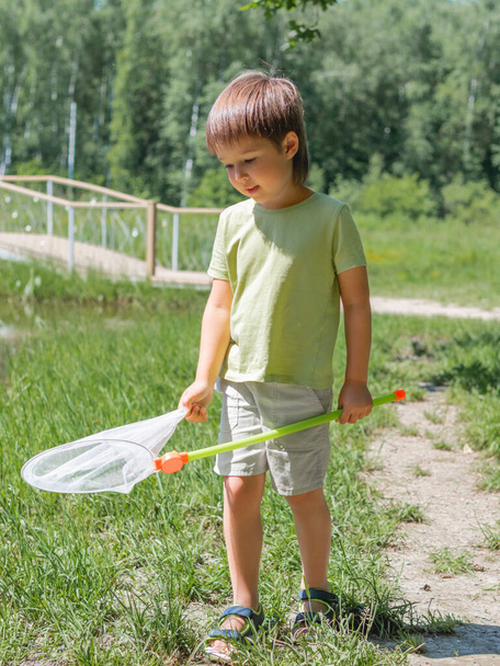 Little kid walks outdoors with butterfly net. Summer leisure activity for children. Insect hunting. - Foto, imagen