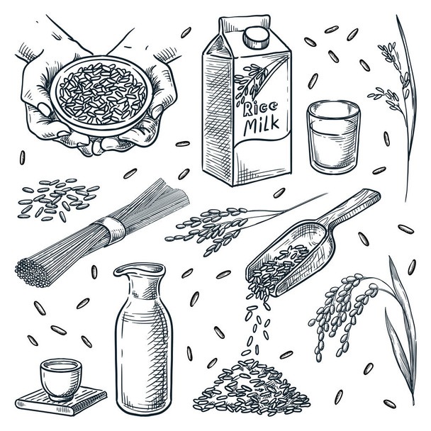 Προϊόντα από ρύζι που απομονώνονται σε λευκό φόντο. Χορτοφαγικά στοιχεία σχεδιασμού τροφίμων που. Γάλα ρυζιού, σάκε, νούγιες και κόκκοι ρυζιού ζωγραφισμένα στο χέρι - Διάνυσμα, εικόνα