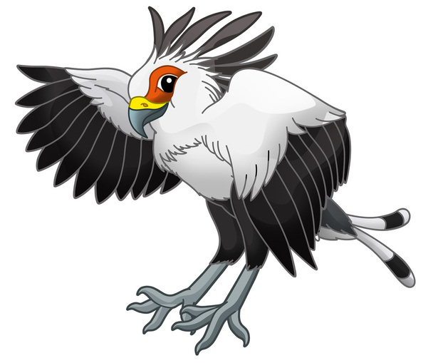 Cartoon animal - falco serpentarius - Photo, Image