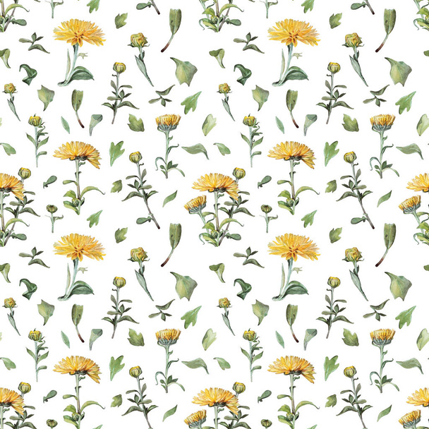 白い背景に緑の葉が孤立したシームレスなパターンの水彩黄色の菊。ヴィンテージ手描きの枝花やお祝いカードの芽。壁紙包装のためのアートスケッチブック - 写真・画像