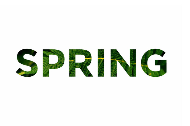 Colorful word spring on a white background. Fern leaf in the letters of the word spring. - Φωτογραφία, εικόνα