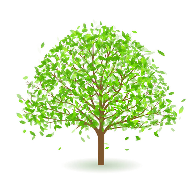 Fresh green leaf spring icon - Vector, Image