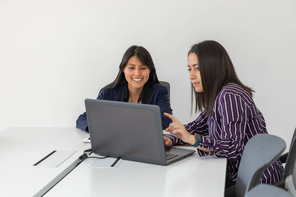 Two female co-workers chat while reviewing a project on their laptop. Latin women working in office. - Photo, Image