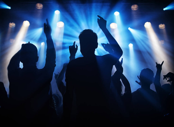 Fun at the gig. Silhouette of a crowd of young adults at a concert. - Fotoğraf, Görsel