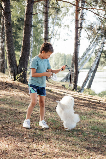 Boy playing with domestic puppy dog in park in outdoors. White Pomeranian puppy Child walking and training dog on leash in forest in summer - Photo, Image