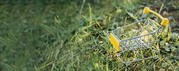 持続可能な消費。緑の芝生の背景に空のショッピングカート。廃棄物ゼロのコンセプト。コピースペース。バナー - 写真・画像