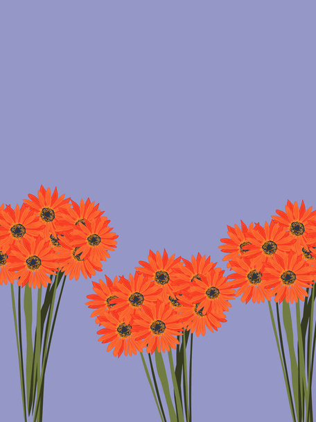 紫色の背景にオレンジのガーベラの花束。紫色の背景。テキストの場所. - ベクター画像