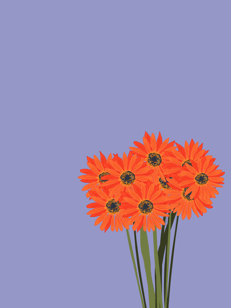 Bouquet orangefarbener Gerbera auf violettem Hintergrund. Lila Hintergrund. Platz für Text. Grußkarte mit Gerbera-Blumen. - Vektor, Bild