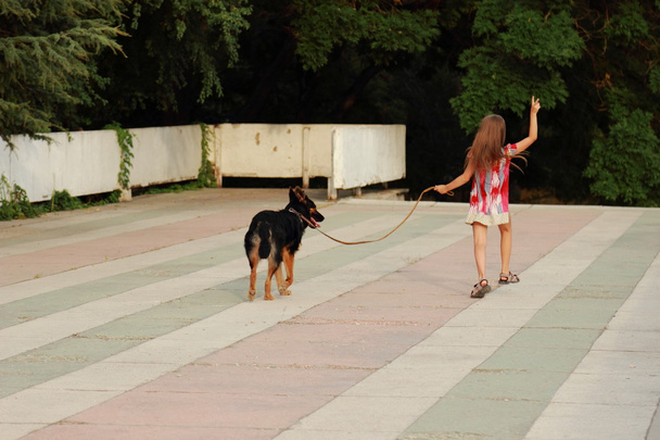 Happy cheerful little girl is running with dog German shepherd breed outdoor - Fotó, kép