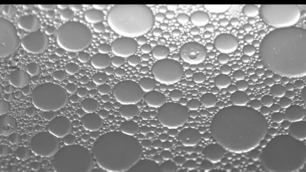 Makro olej w płynie - krople oleju poruszające się w płynie - Materiał filmowy, wideo