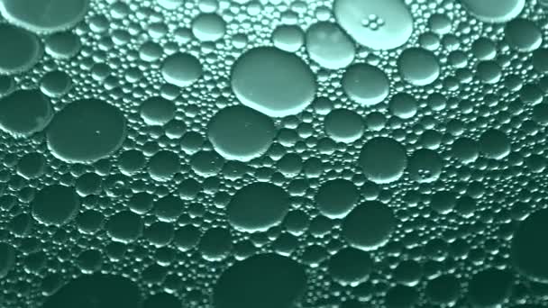 Aceite de macro en líquido - gotas de aceite en movimiento en líquido - Imágenes, Vídeo