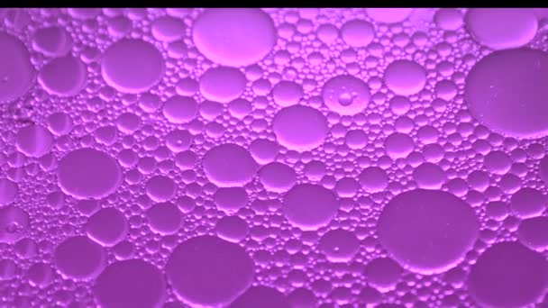 Aceite de macro en líquido - gotas de aceite en movimiento en líquido - Metraje, vídeo