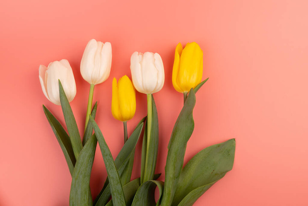 Vista dall'alto tulipani con spazio copia. Sfondo per il giorno delle donne, 8 marzo San Valentino, 14 febbraio. Stile flat lay, vista dall'alto, mockup, modello, sopraelevato. Biglietto d'auguri - Foto, immagini