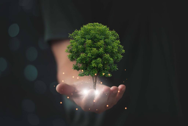 Dünya Günü. Çevreyi kurtarmak, temiz gezegeni kurtarmak, ekoloji kavramı. İnsan elinde bir ağaç. - Fotoğraf, Görsel