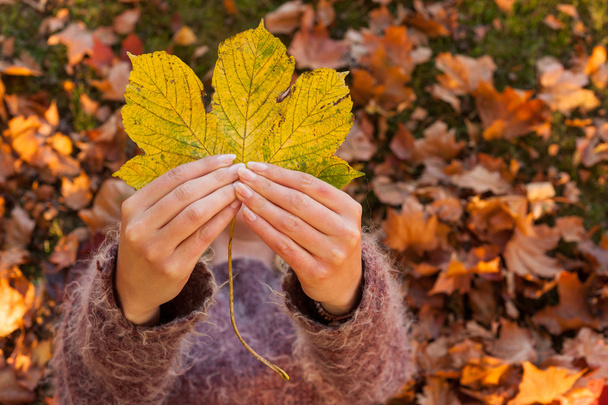 woman holding up autumn leaf - Foto, imagen