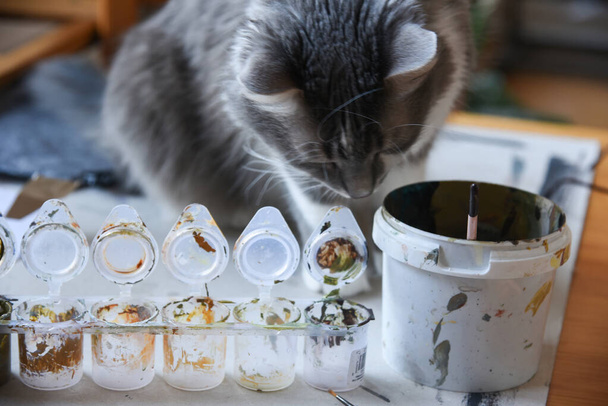 Περίεργη γάτα παίζει με μπογιά και νερό. Μπέρδεμα μπογιάς και βούρτσες. Γάτα στο τραπέζι στούντιο ζωγραφικής παίζει. - Φωτογραφία, εικόνα