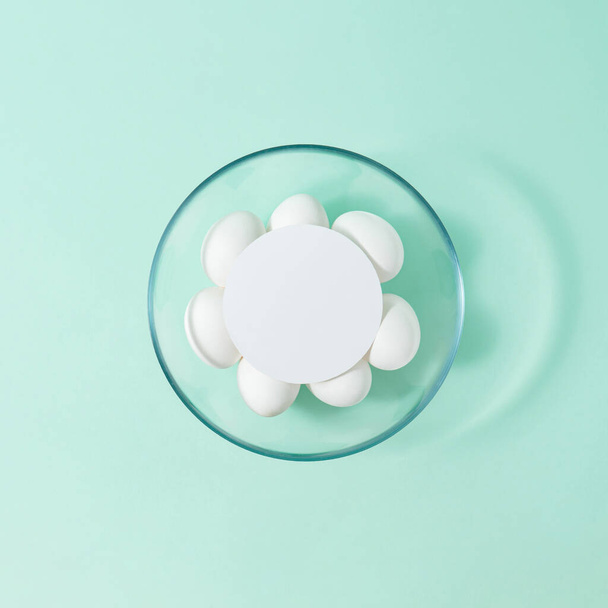 Minimale composizione piatta con ciotola di vetro con uova bianche e carta circolare su tavola verde oliva pastello. - Foto, immagini