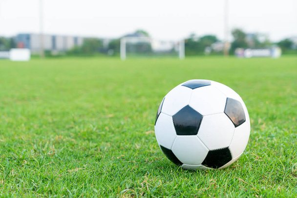 Soccer ball on the football field  background with copy space - 写真・画像
