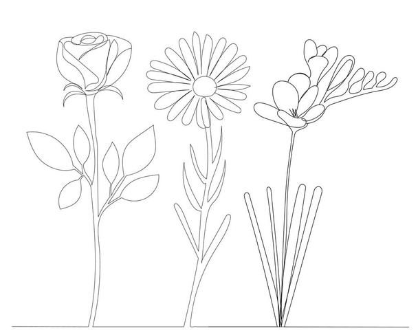 flowers drawing in one continuous line, isolated - Διάνυσμα, εικόνα