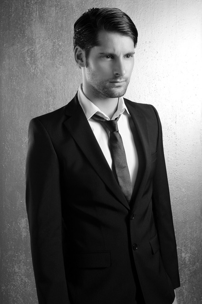 Classic elegant suit handsome man portrait - 写真・画像