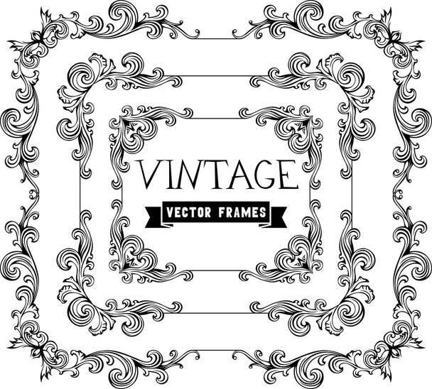 Calligraphic vintage frames - Vettoriali, immagini