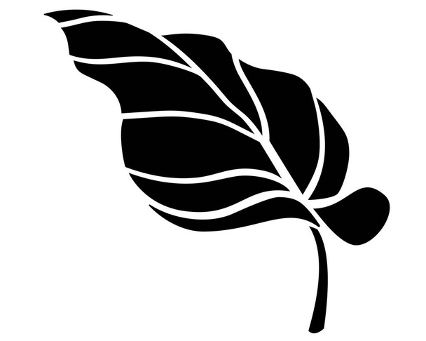Calla leaf, tropical plant - vector silhouette picture for logo or pictogram. Succulent tropical leaf - botanical sign or icon - Vetor, Imagem